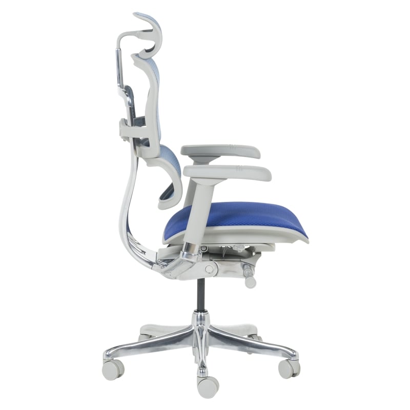 Ергономичен офис стол Ergohuman Elite 2 син-сив